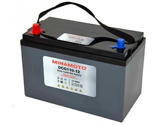 Minamoto DCG110-12