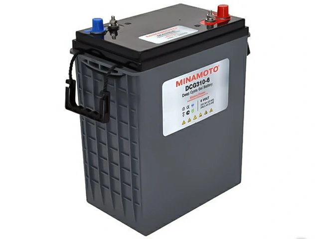 Minamoto DCG310-6