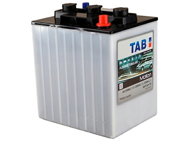 TAB Motion Tubular Golf Cart TS 210Ah