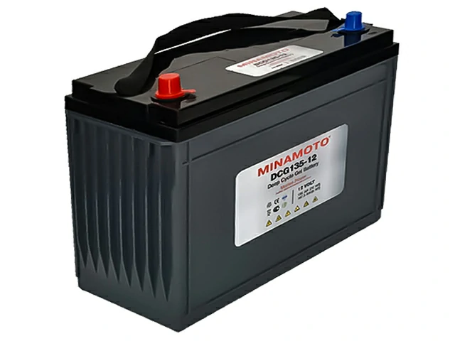 Minamoto DCG135-12
