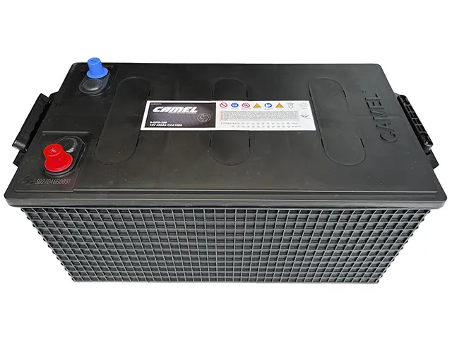 Camel 6-OFD-220 220Ah AGM