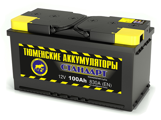 Tyumen Battery Standard 100Ah П.П