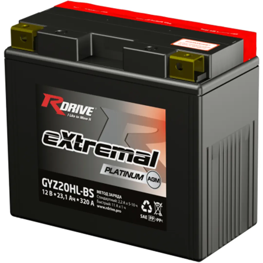 RDrive eXtremal Platinum GYZ20HL-BS