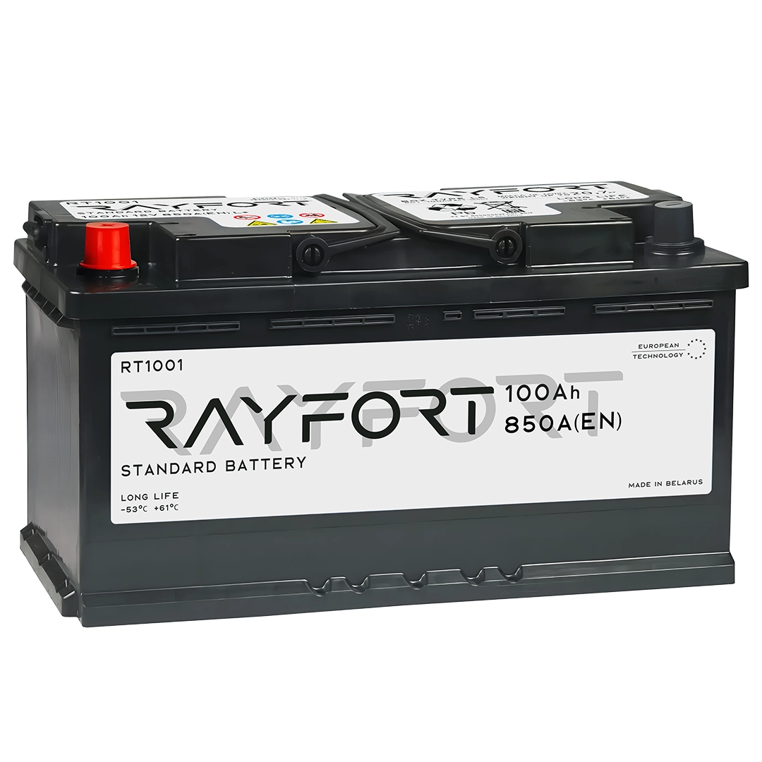 RAYFORT RT1001 100Ah