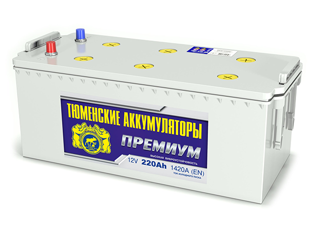 Tyumen Battery Premium 220Ah П.П
