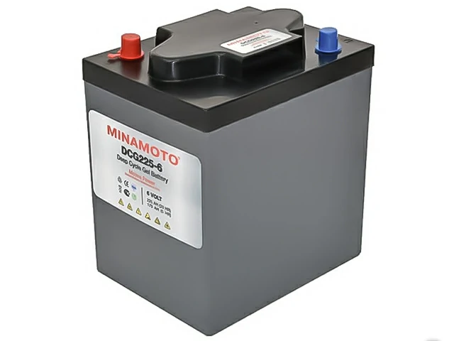 Minamoto DCG225-6