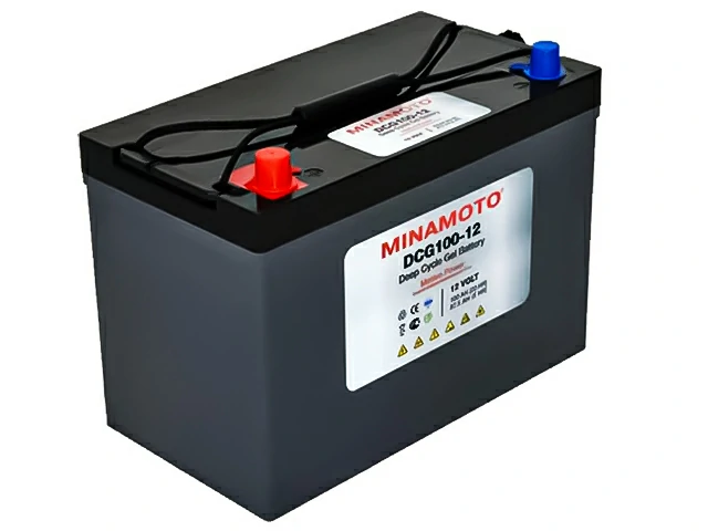 Minamoto DCG100-12